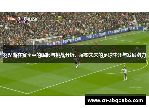 努涅斯在赛季中的崛起与挑战分析，展望未来的足球生涯与发展潜力