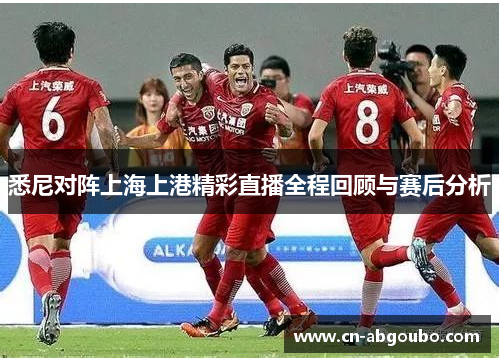 悉尼对阵上海上港精彩直播全程回顾与赛后分析